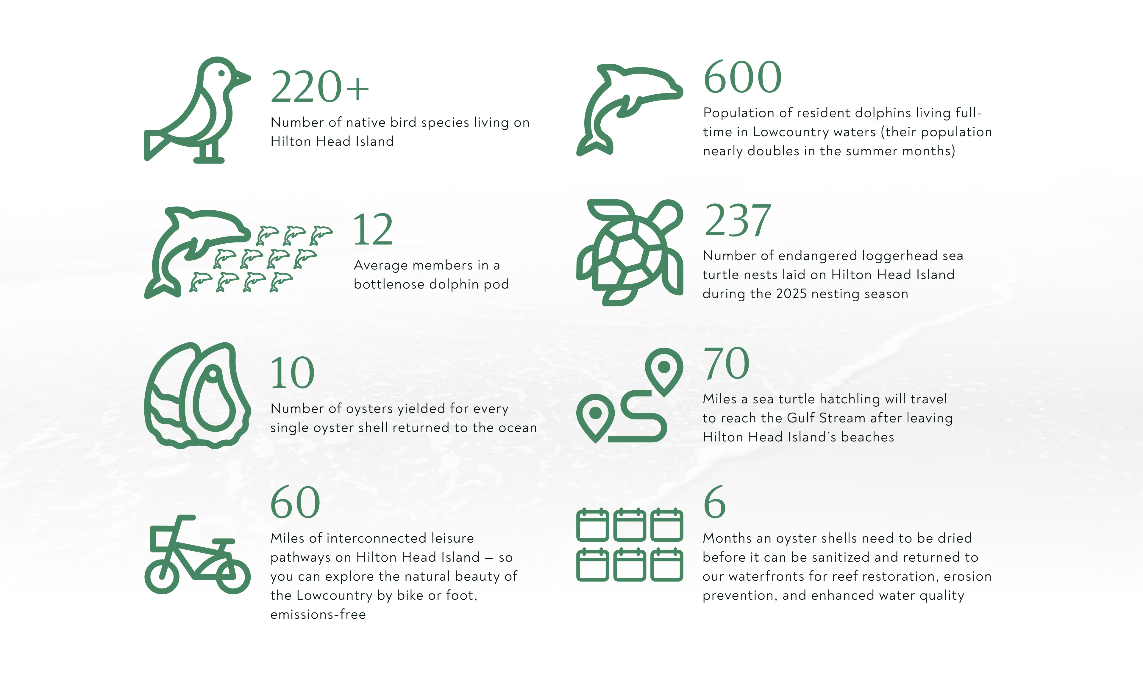 infographic on sustainability