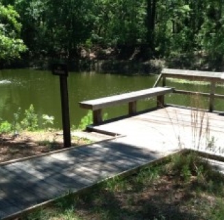 pond