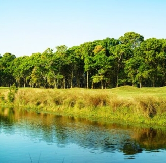 Robert Cupps Heritage Collection