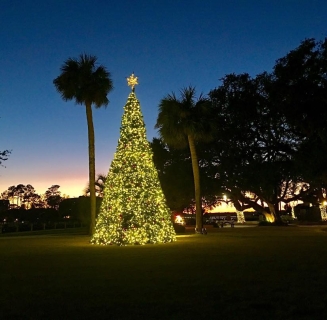 Photo by @nickmartin__