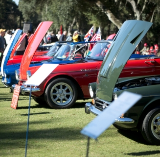 concours hoods up showcase