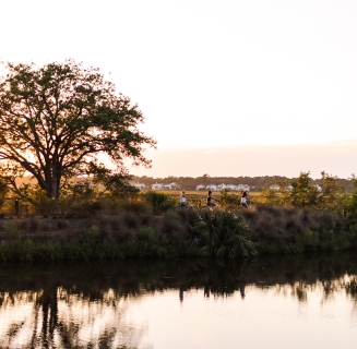 Three women biking along a road by a tree