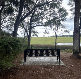 Toni Morrison Reflection Bench