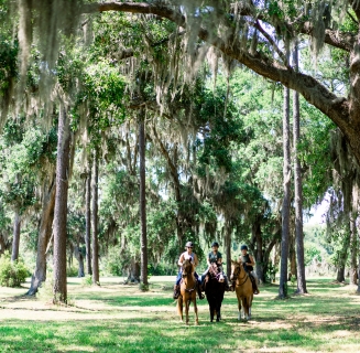 people riding horses