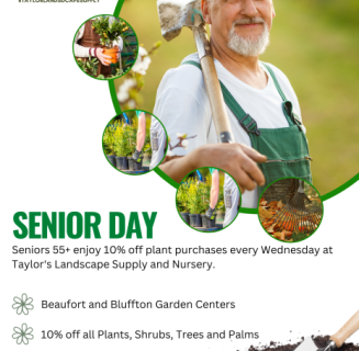 Senior Wednesday - Senior Wednesday