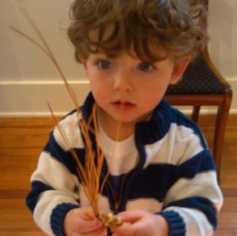 sweet grass