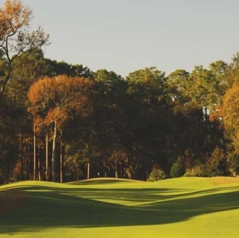 Hilton Head National Fairway