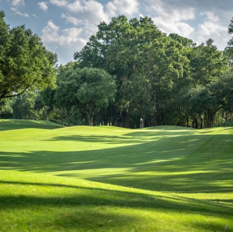 golf course green