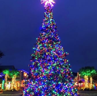 Holiday Lights and Tree at Shelter Cove Towne Centre