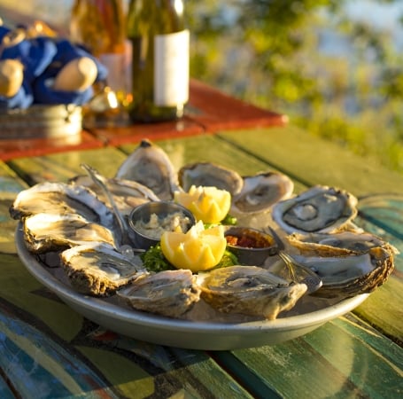 oysters on a plate