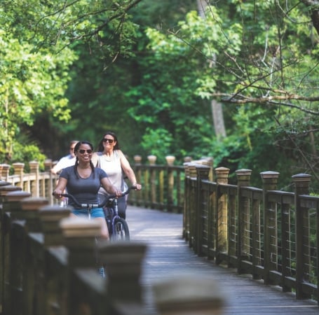 people riding bikes