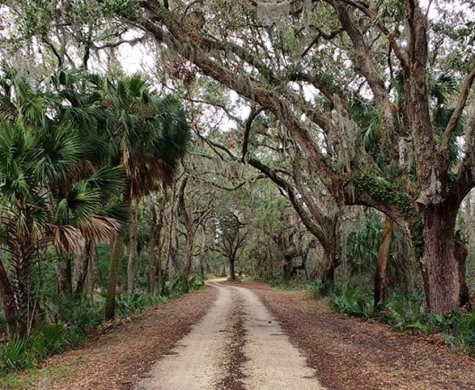 path