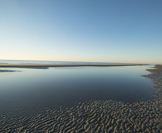 beach at lowtide