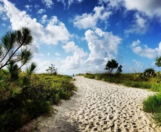 beach