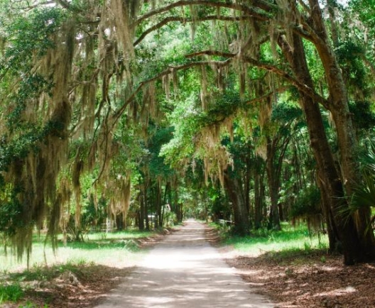 HHI Trees