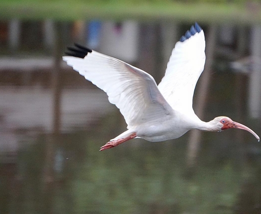 Photo by @a_closed_book