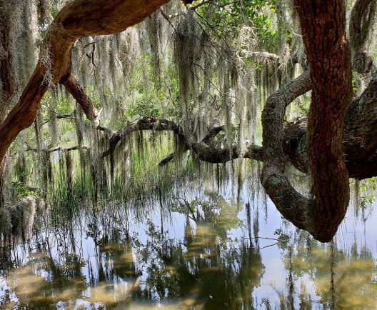 Photo by @detailsinfabric