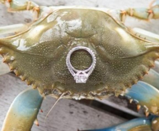 hilleary.photography-