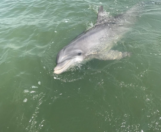 Photo by @hillerjcu04