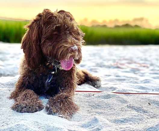 Photo by @a_closed_book