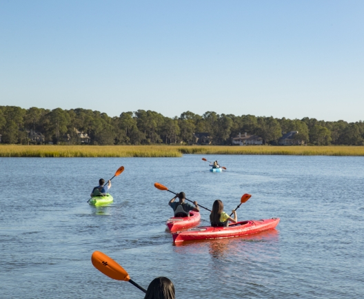 kayakers