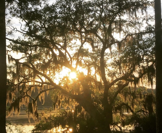 Photo by @katiegoodmurph