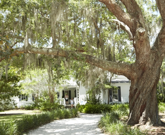 coastal discovery museum 