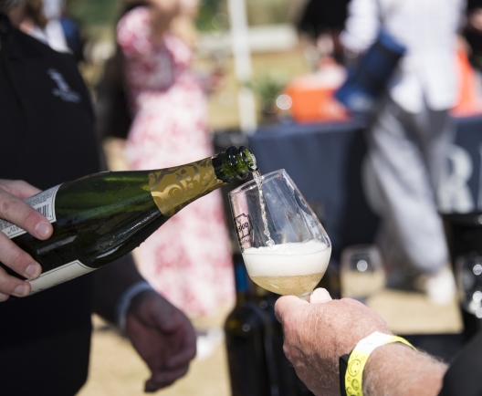 wine and food festival, person pouring wine 