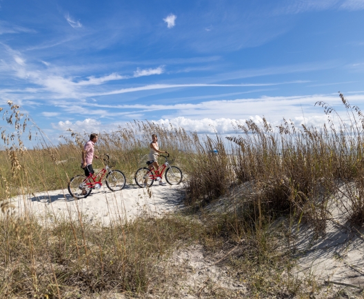 people walking bikes to the beach