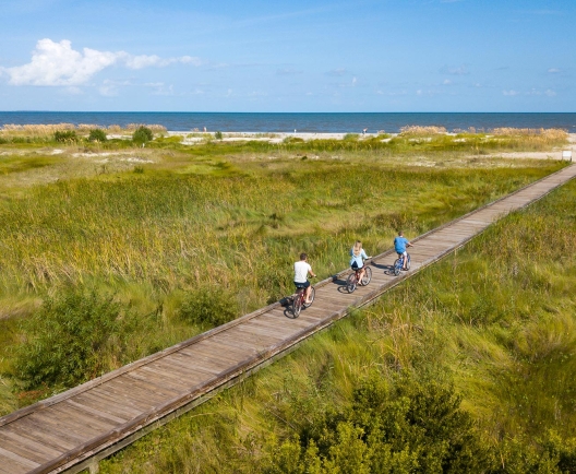 people biking on a train