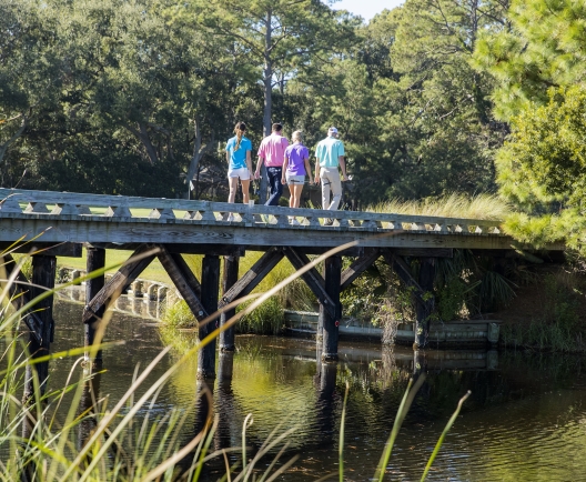A family walking over a bridge surrounded by greenery