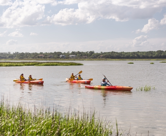 Group of Kayakers on water 