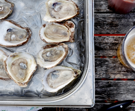 Oysters on table 