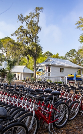 rental bikes lined up outdoors
