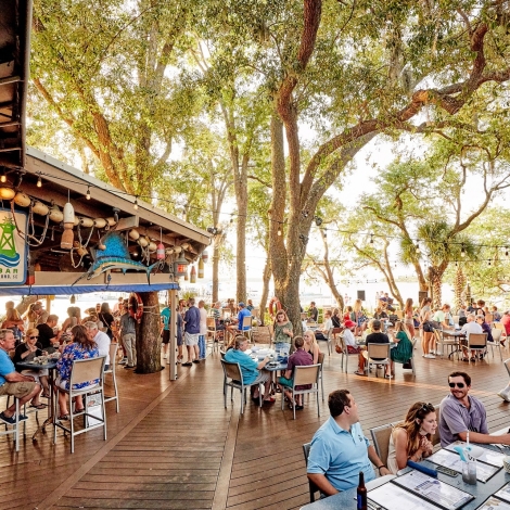 groups of people dining outdoors