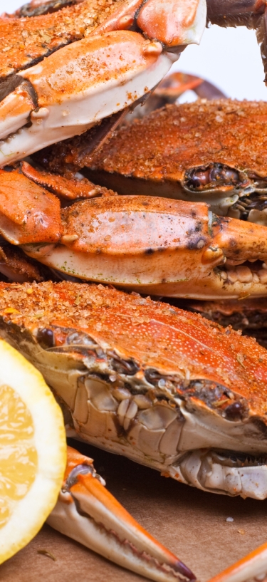 crab