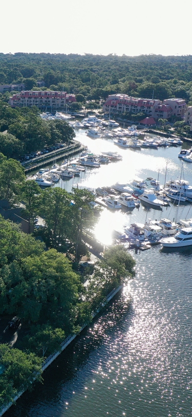 aerial view of shelter cove