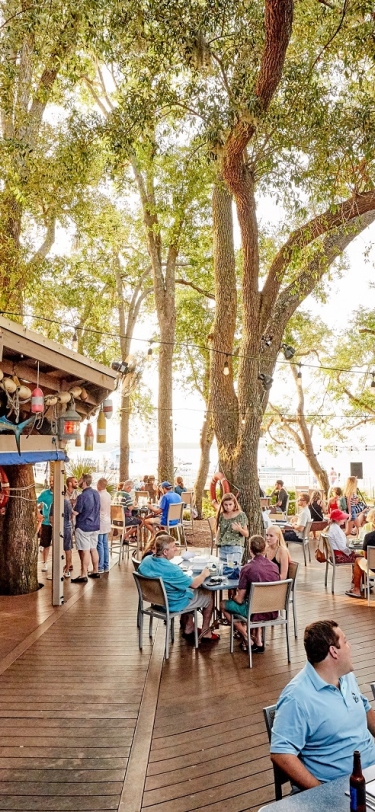 groups of people dining outdoors