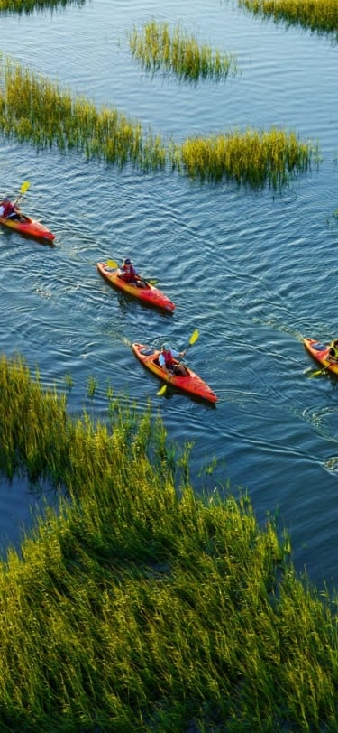 pd kayaks