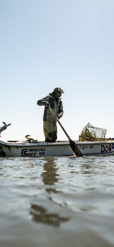 gullah oyster farm 
