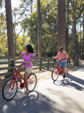 two people on bikes riding past a horse