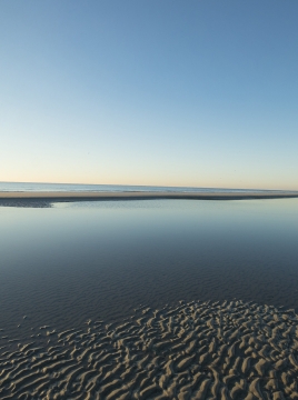 beach at lowtide