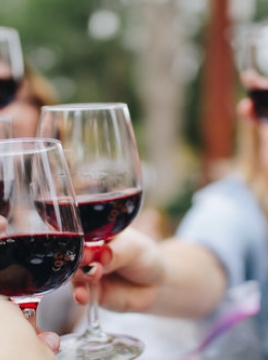 Group of people toasting with wine glasses