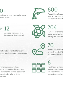 2025 sustainability infographic