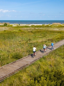 people biking on a train