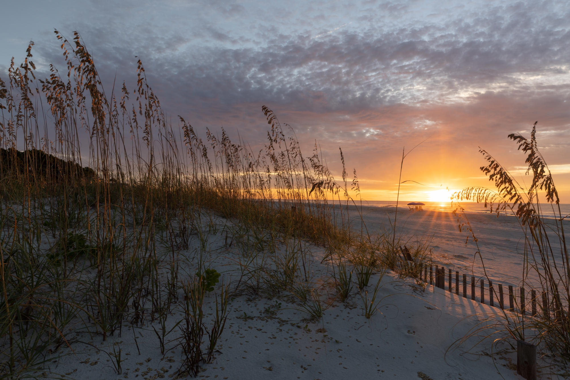 sunrise at the beach