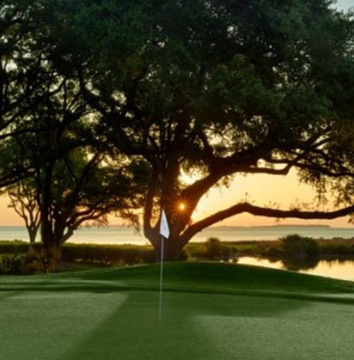 Birdies, Beaches, and Bling - Birdies%2C_Beaches%2C_and_Bling.jpg