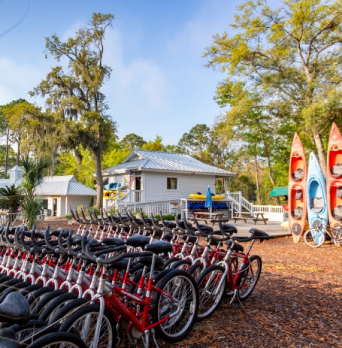 10% bike rentals & more - Bike Rentals