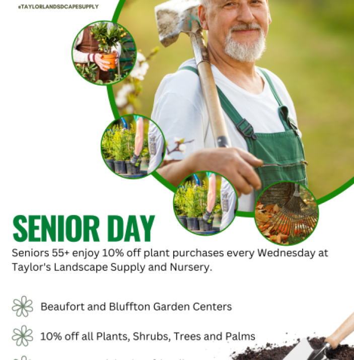 Senior Wednesday - Senior Wednesday