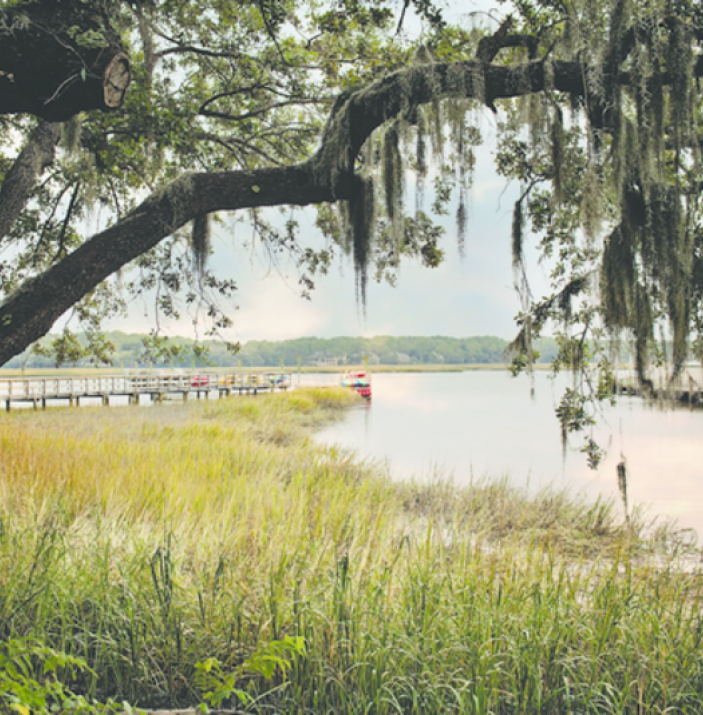 Coastal restaurants and bars